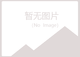 珠山区以海造纸有限公司